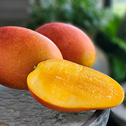 聽說芒果對皮膚很毒，皮膚過敏不能吃！是真的嗎？什麼是芒果皮膚炎？