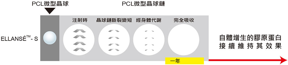 ellanse, 伊蓮絲, 伊戀詩