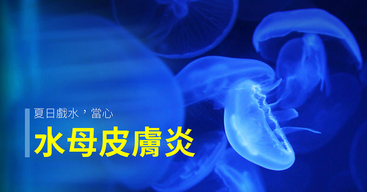 jellyfish_dermatitis, æ°´æ¯ç®èç