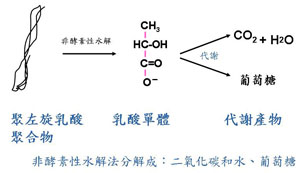 Sculptra,3D聚左旋乳酸,舒顏萃,微整形,微整型,返老還童,PLLA,液態拉皮,液體拉皮,童顏針,3D液態拉皮,3D童顏針