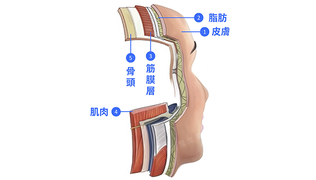 大s,天心,韓國,歐巴,音波拉提,linear線性探頭,醫美新趨勢,醫美新療程,緊緻拉提,緊緻脂肪,林政賢醫師,老化,抗老化,臉型,鳳凰電波,電波,雷射,bblsction,膠原蛋白,下垂,鬆弛,細紋,皺紋,肌膚老化,皮膚老化,老化肌膚,老化皮膚,眼周老化,眼周,眼周細紋,眼袋,淚溝,眼周保養,除細紋,眼尾下垂,眼下垂,消除細紋,除皺紋,音波,拉提,電波拉皮,音波拉皮,保養,美國音波,音波拉提ulthera,醫美,美容,點狀音波,線狀音波,脂肪破壞,嘴邊肉,雙下巴,q+音波 效果,q+ 海芙,海芙音波,音波拉提 電波拉提,電音雙波,thermage flx,q+音波 價格,午休美容,午覺美容,啦提借,拉提界新革命