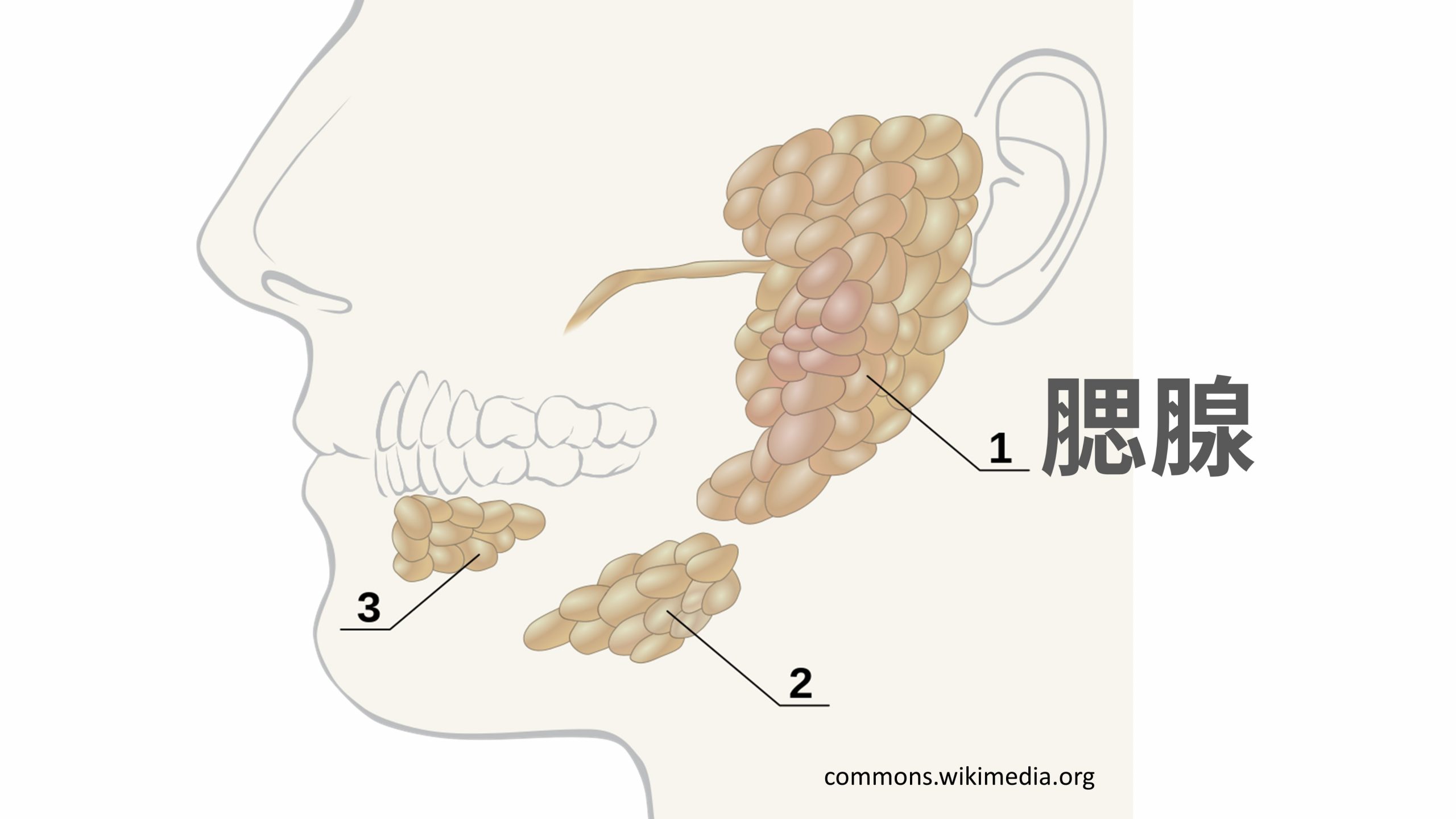 醫美,整形,微整形,玻尿酸,玻尿酸額頭,消脂針,頰凹,玻尿酸拉提,輪廓,醫美診所,醫美重要,微整,肉毒,肉毒咀嚼肌,醫美療程,保養,韓國醫美,肉毒瘦臉,淡化細紋,縮小毛孔,醫美,醫美診所,肉毒,肉毒桿菌,肉毒瘦臉,瘦臉針,整形,瘦臉心得,肉毒心得,美容,體驗,肉毒瘦小臉,效果,術後保養,微整形,後遺症,痘痘,咀嚼肌,小腿肌,手術,咬肌,手汗 肉毒,酒糟 肉毒,蘿蔔腿,國字臉,瓜子臉,瘦臉心得,美容體驗,皮膚管理,肉毒瘦小臉,微整,玻尿酸,瓜子臉,鵝蛋臉,肉毒瘦臉,抬頭紋,眼下細紋,動態眼下細紋,魚尾紋,肉毒 眼皮無力,肉毒 副作用,肉毒小臉,肉毒 平躺,肉毒價格,肉毒效果,肉毒除皺,朴敘俊