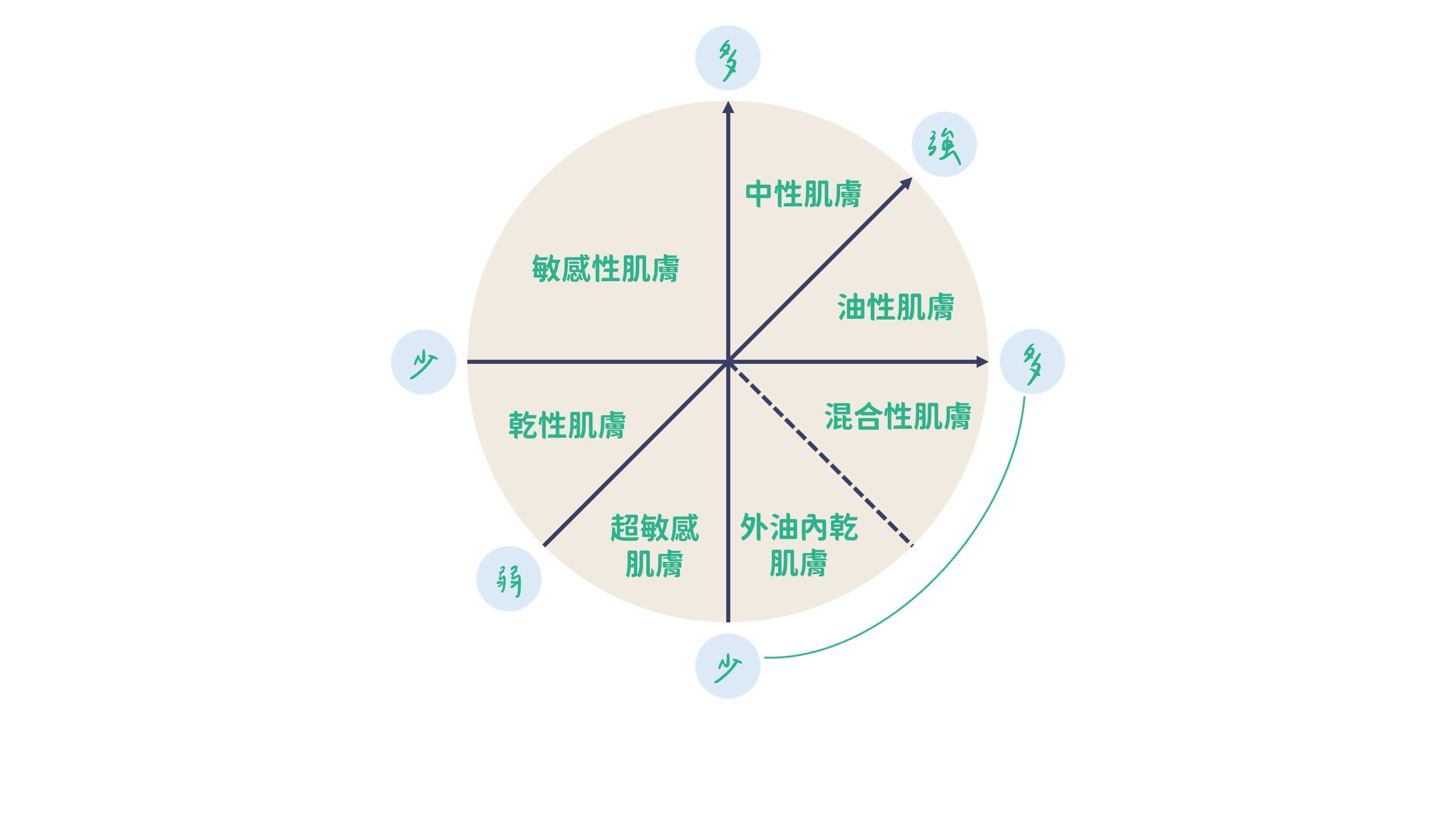 內油外乾,外由內乾,油性肌,混合肌,中性肌,皮膚出油,皮膚教科書