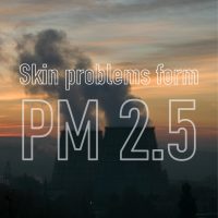 pm2.5