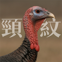 頸紋,玻尿酸,高雄微整形,高雄林政賢,頸紋顯老